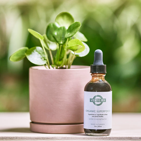 Verte RX | Organic Superfood, 2oz/60ml Super Centrated Plant food Supplement Bottle with a potted pilea money plant