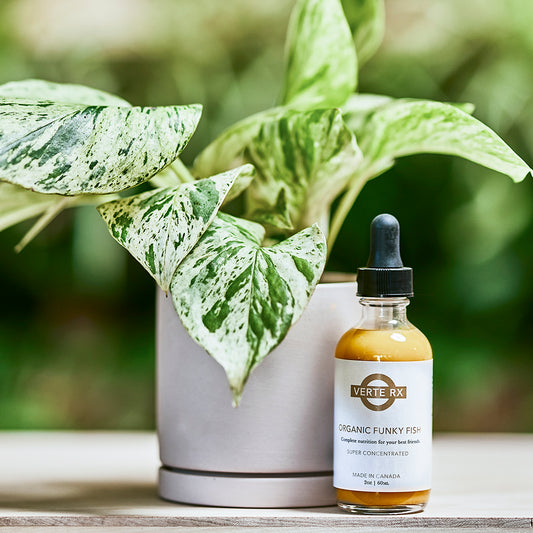 Verte RX | Organic Funky Fish, 2oz/60ml Super Concentrated Plant Vitamin Supplement Bottle with a potted Golden Pothos